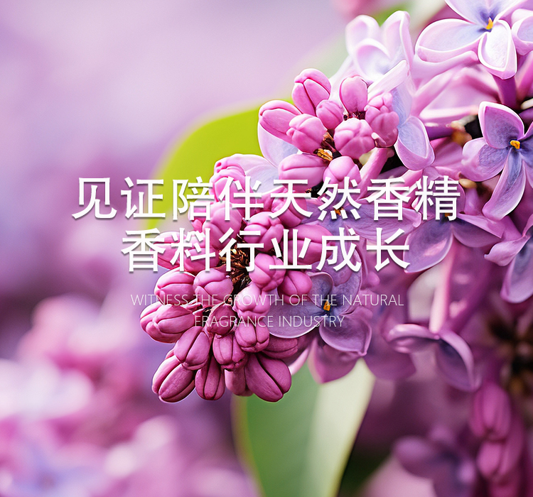  (й)ٷվ